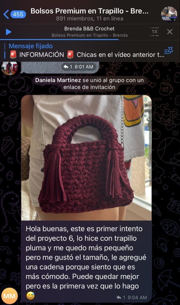 Opinión-Bolsos-Premium-en-Trapillo Brenda-Villamizar