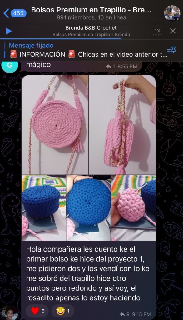 Opinión-Bolsos-Premium-en-Trapillo Brenda-Villamizar